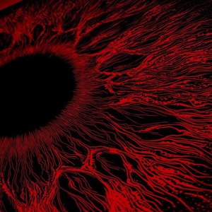 大石纱季最经典
